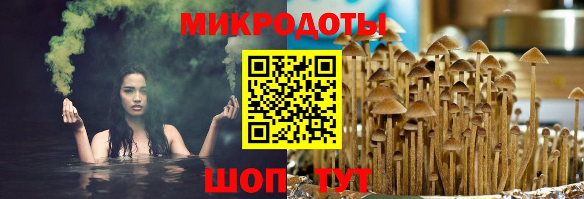 Россошь  Галлюциногенные грибы прущие грибы  Вход с VPN 